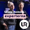 Skola hemma - experterna