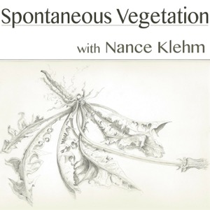 Spontaneous Vegetation