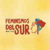 Feminismos del Sur  artwork