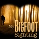 Look! There’s a Bigfoot! - My Bigfoot Sighting Episode 133