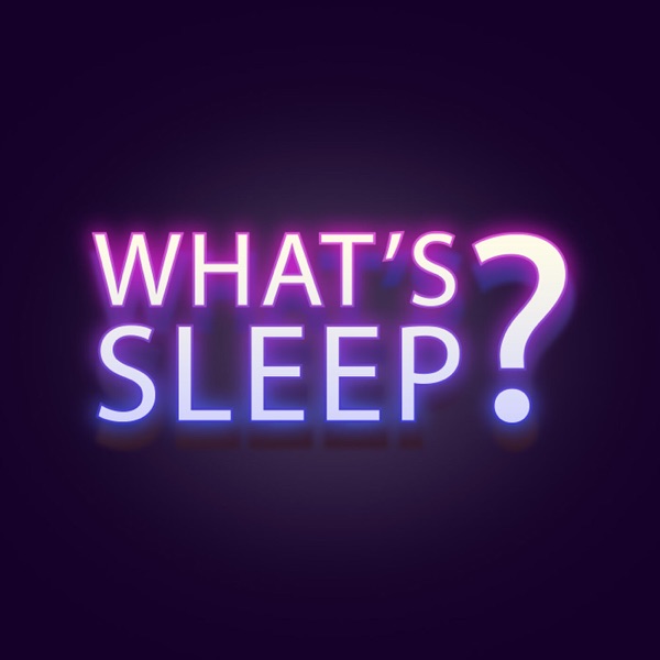 What's Sleep? Artwork