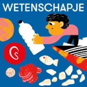 Wetenschapje (8+) - Het Geluidshuis