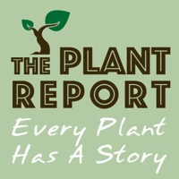 The Plant Report- Every Plant Has A Story podcast