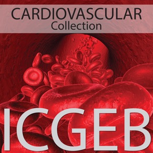 Cardiovascular