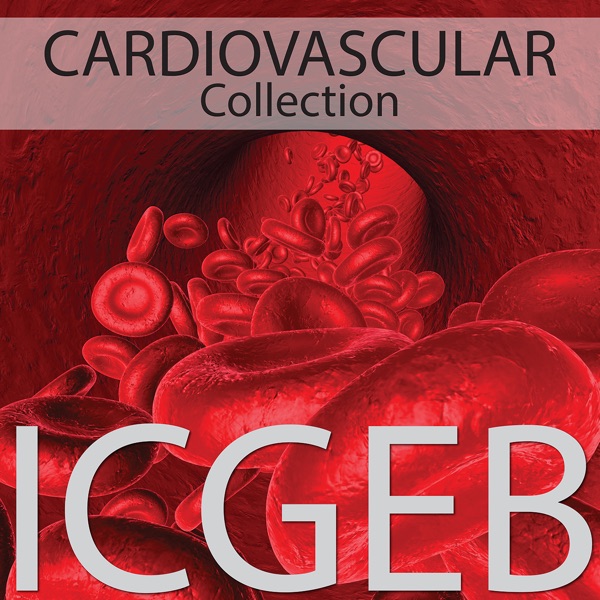 Cardiovascular Artwork