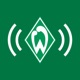 „Budenschnack“ – Der 125 Jahre Podcast auf der „Grünen Bude“ – Folge 3 mit Max Kruse