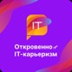 Беседа с Анной Мамаевой Sales Operations Executive из DataArt (307)