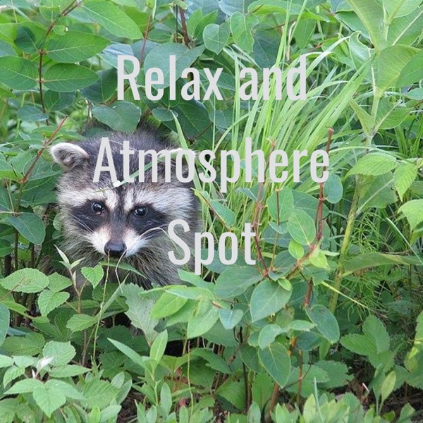 Relax and Atmosphere Spot Artwork