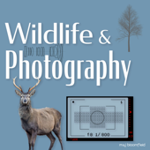 Wildlife and Photography - M & J Bloomfield