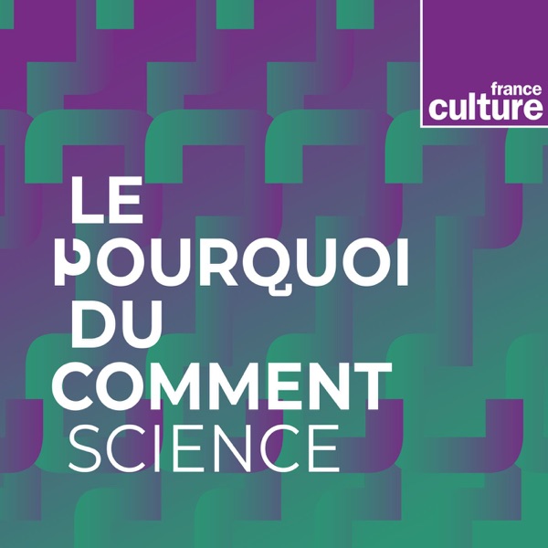 Le Pourquoi du comment : science