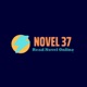 Novel 37