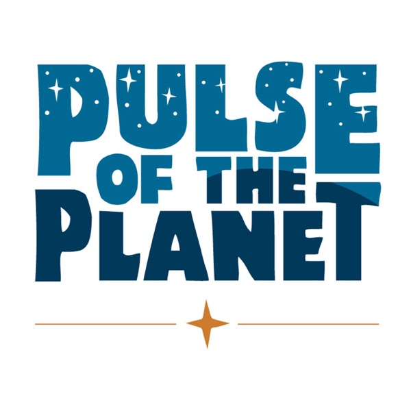 Pulse of the Planet Podcast with Jim Metzner | Science | Nature | Environment | Technology Artwork