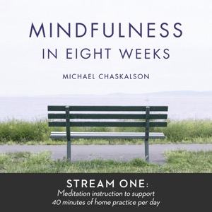 Mindfulness in 8 Weeks: 40 Minutes a Day Program