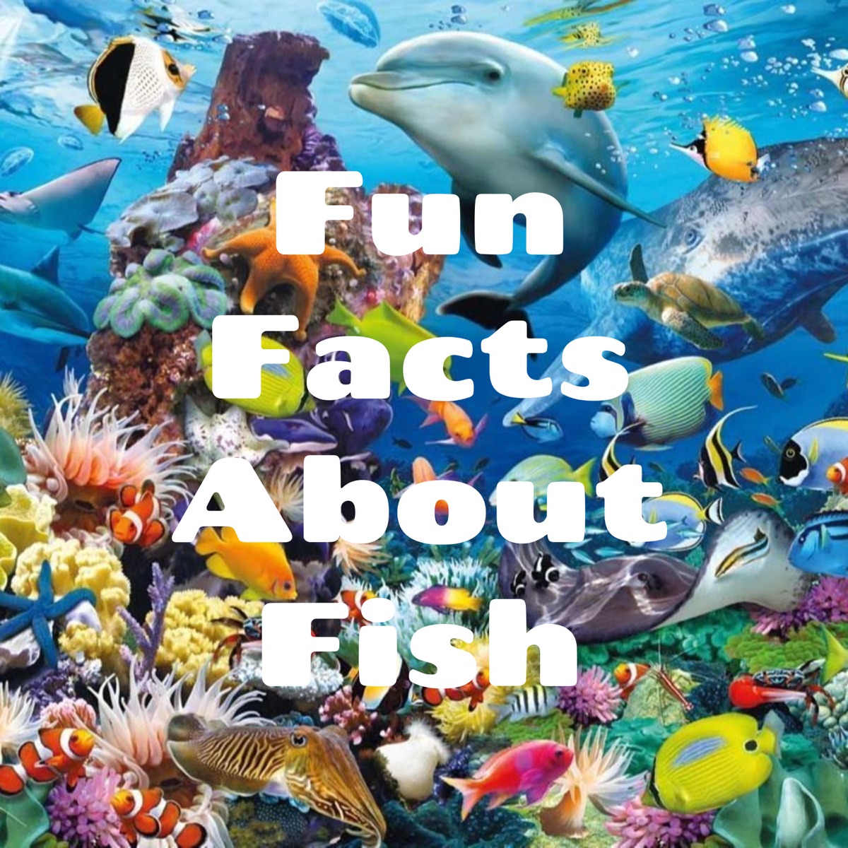 Fun Facts About Fish – New Zealand Podcasts