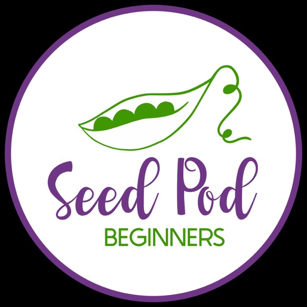 The SeedPod for Beginners Artwork
