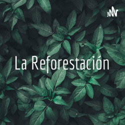 La reforestación