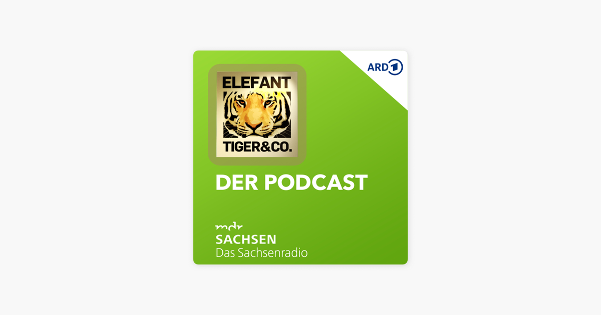 Elefant Tiger Co Der Podcast On Apple Podcasts