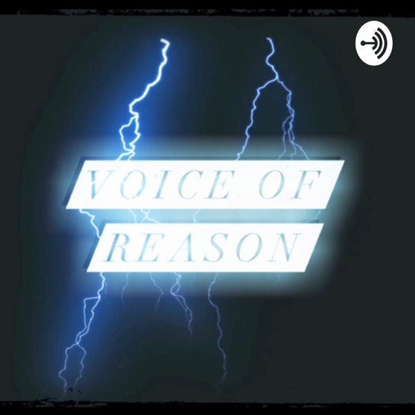 Voice of Reason Artwork