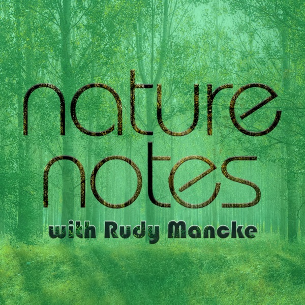 NatureNotes Artwork