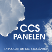 CCS Panelen - Granitor & Captimise