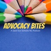 Advocacy Bites artwork