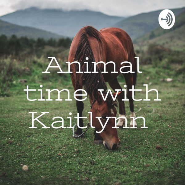 Animal time with Kaitlynn Artwork