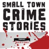 Small Town Crime Stories Told by a Family artwork