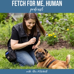 Fetch for Me, Human