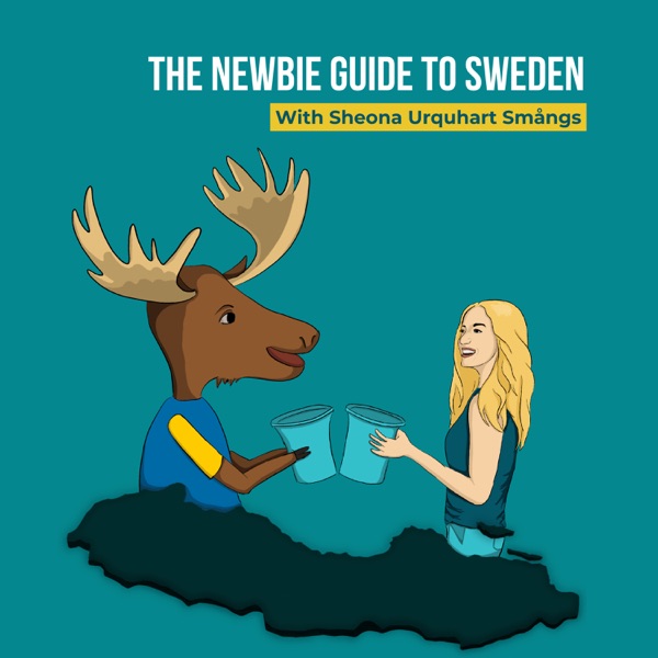 The Newbie Guide to Sweden Podcast