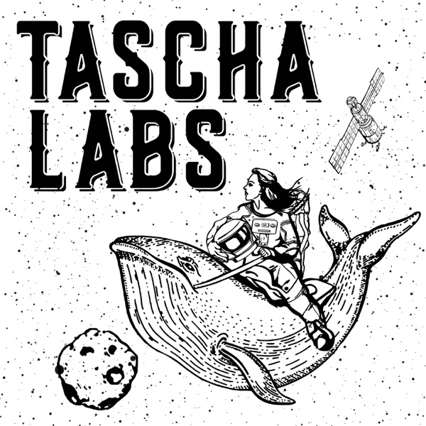 Tascha Labs Podcast | Crypto Investment through Macro Lens | Web3 | Blockchain