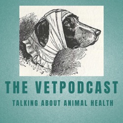 Episode 72: How much did you say it was? You are kidding me! A look at the cost of veterinary care.
