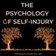 Self-Criticism as a Predictor of Self-Injury, with Christina Robillard