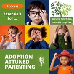 Rebroadcast: Interview with Lynn Grubb, The Adoption Genealogist