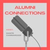 WashU Alumni Connections artwork