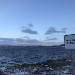 The Passing Place, 5 March 2023: Shetland, sheep, tomatoes, religion and politics.