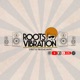 Roots Vibration MX