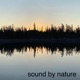 160: Gold Bluffs Beach- All Night On The High Tide Line