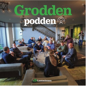 Groddenpodden