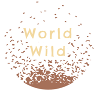 1 | Foraging and Knowledge with Samuel Thayer