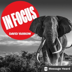 Trailer: In Focus with David Yarrow