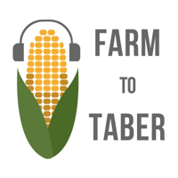 City farming: interview with Brandon Ross