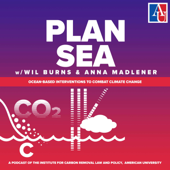 Plan Sea: Ocean Interventions to Address Climate Change - Wil Burns and Anna Madlener