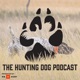 Questions and answers on trianing for hunt tests