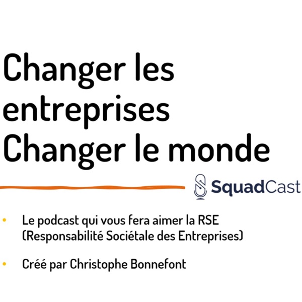Changer les entreprises Changer le monde par Christophe Bonnefont - RSE et Compagnie