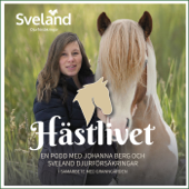 Hästlivet - Sveland Djurförsäkringar