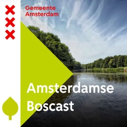 Amsterdamse Boscast