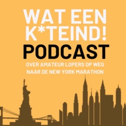 S3A1 - Zomerstop, lopen in the USA, Texel en Amsterdam
