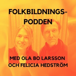 #8 Fogelstadgruppen, folkbildning och Honorine Hermelin