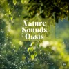 Nature Sounds Oasis | Relaxing Nature Sounds For Sleep, Meditation, Relaxation Or Focus | Sounds Of Nature | Sleep Sounds, Sleep Music, Meditation Sounds, Singing Birds, Ocean Waves, River, Rain, Waterfall, White Noise, Relaxation Music, ASMR, 8D Sounds