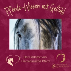 Spazieren gehen mit dem Pferd - gar nicht immer so einfach?